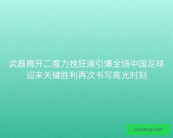 武磊梅开二度力挽狂澜引爆全场中国足球迎来关键胜利再次书写高光时刻