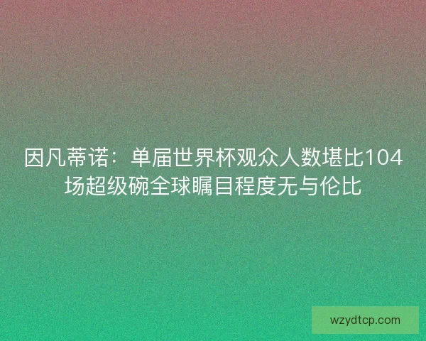 因凡蒂诺：单届世界杯观众人数堪比104场超级碗全球瞩目程度无与伦比